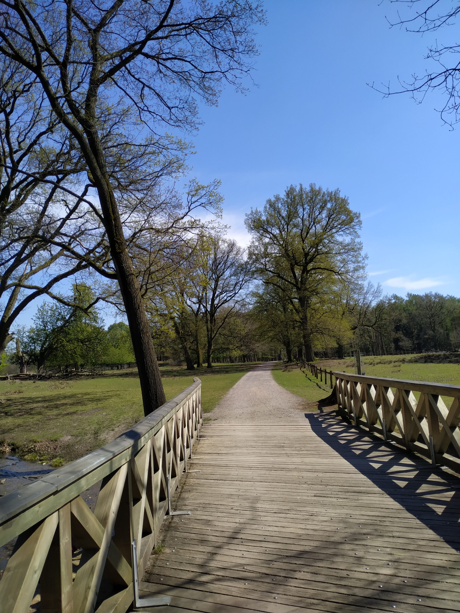 Wildpark Dülmen – Wanderung für die Sinne