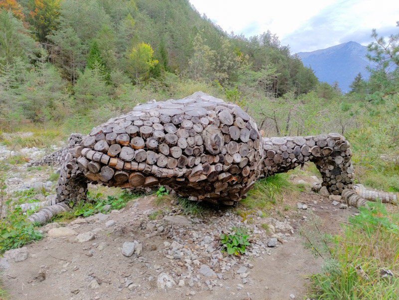 Bergmolch-im-Ledro-Land-Art-Park