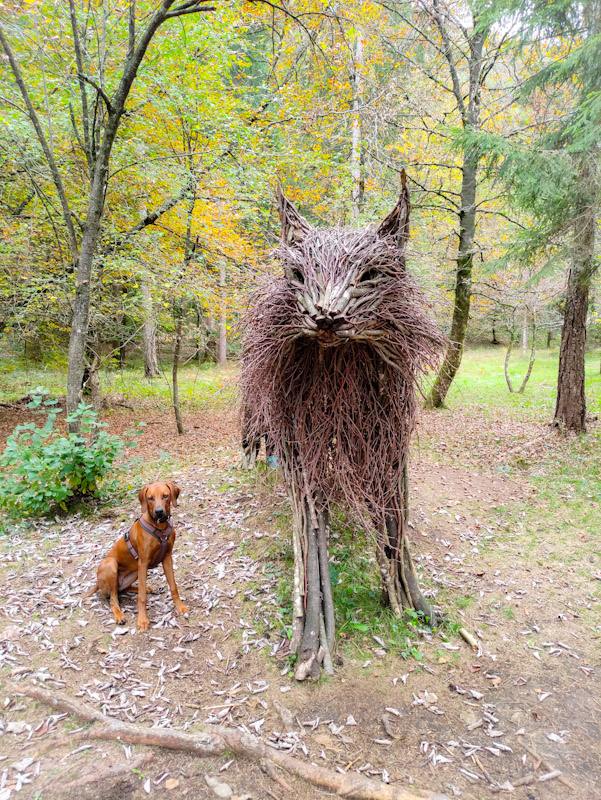 Luchs-im-Ledro-Land-Art-Park