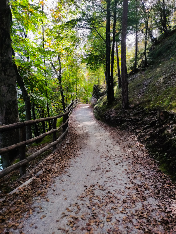 Wanderung-um-den-Ledrosee-toller-Waldweg