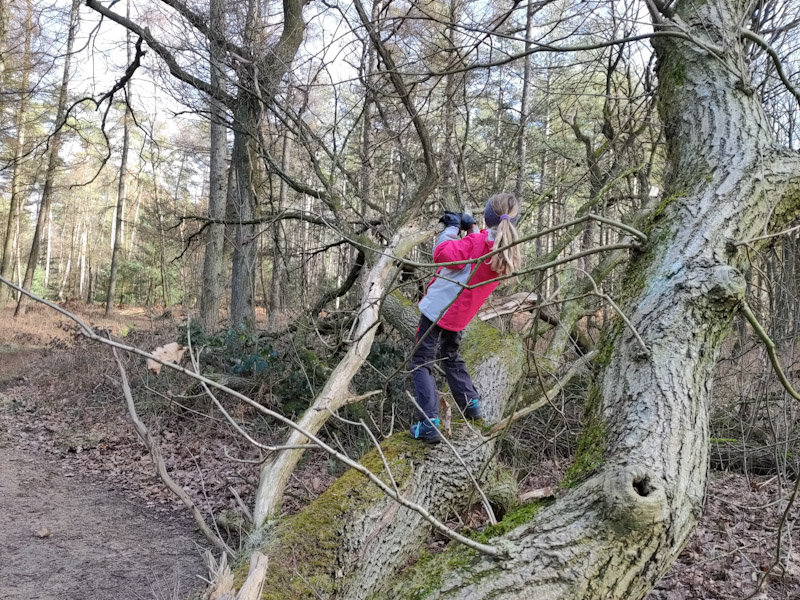 Klettern gehört einfach dazu zum Wandern mit Kindern