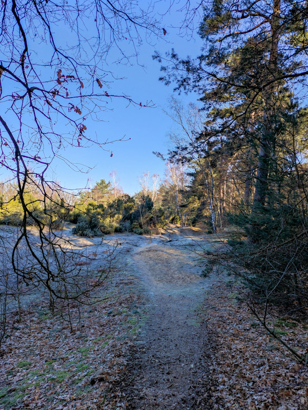 Die unbekannte Seite der Westruper Heide