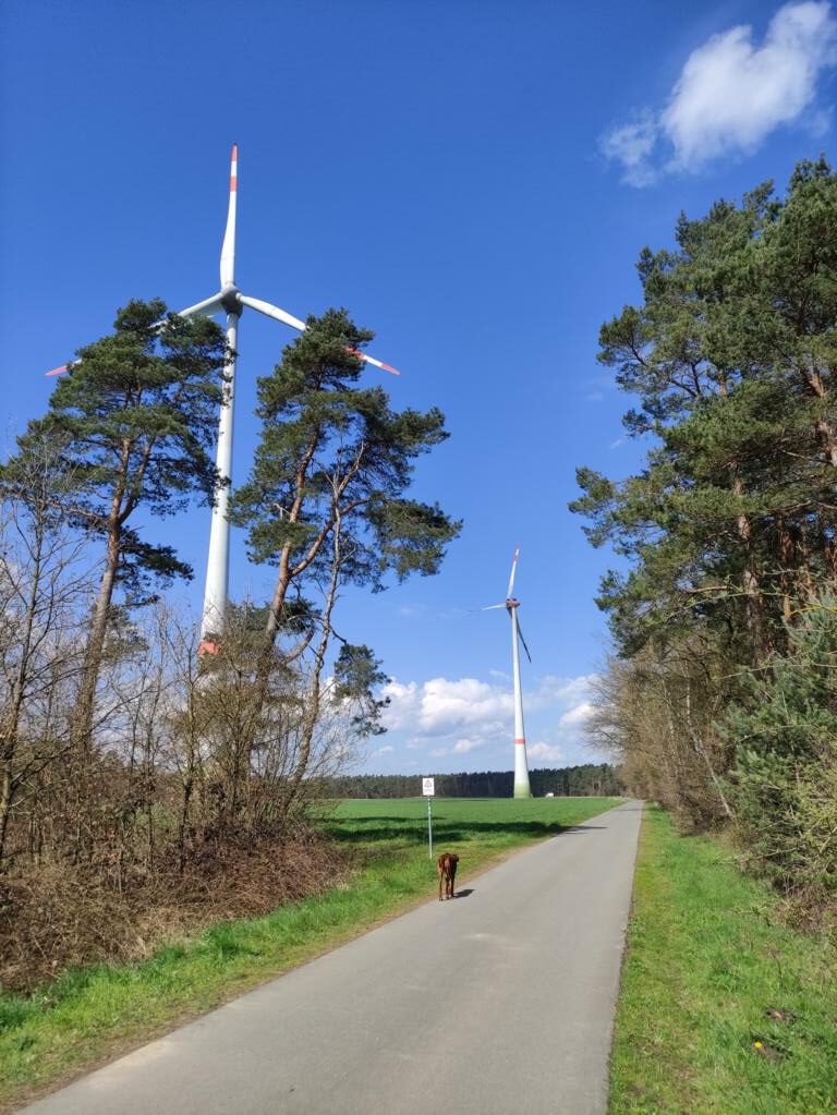 Alter_Postweg_Wasserroute_Hohe Mark Steig