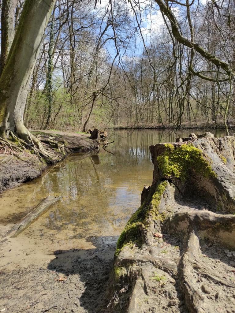 Wunderschöne Natur an der Zwischenstever