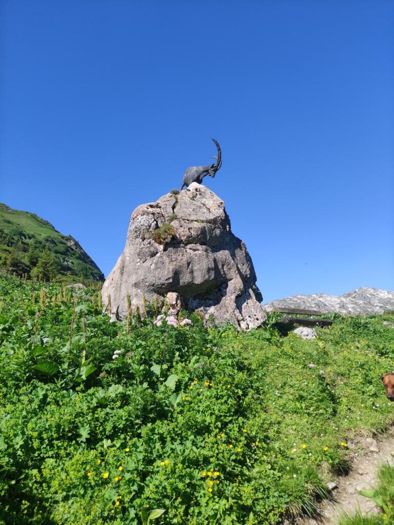 Steinbockdenkmal am Formarinsee