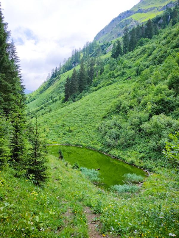 grüner See am Lechweg