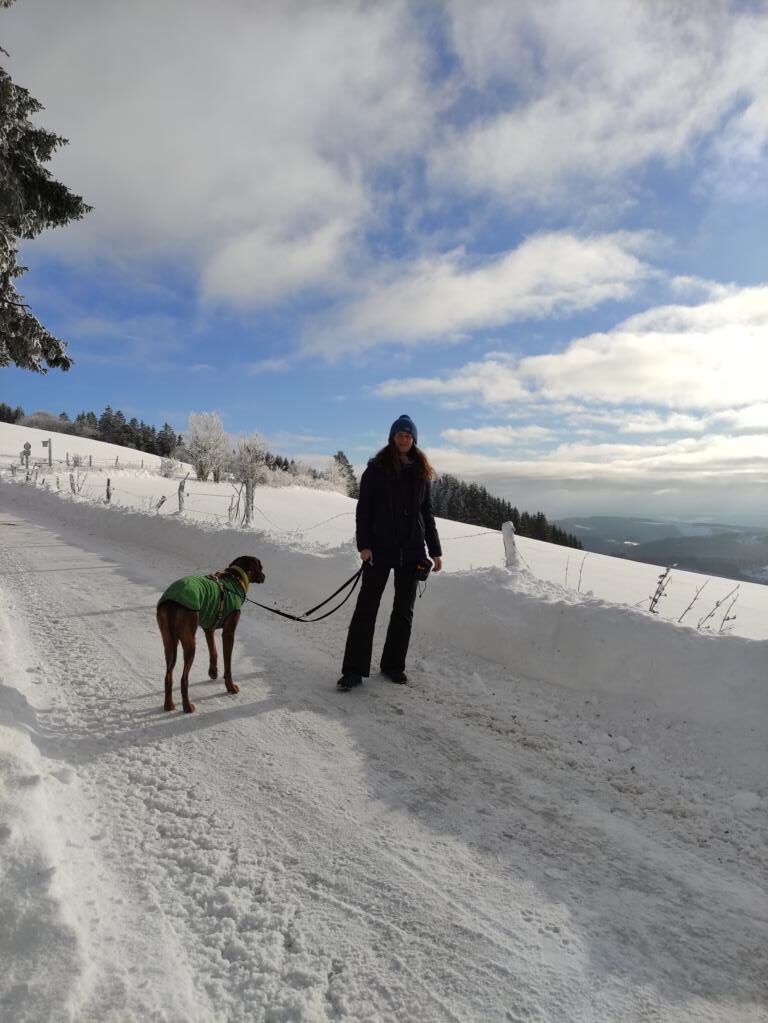 Winterwandern- unsere Tipps für unvergessliche Touren