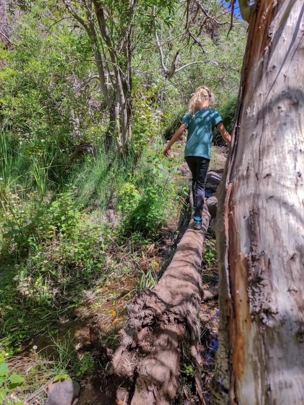 Abenteuerliche Wanderweg im Barranco de Arure auf La Gomera