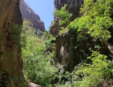 Abenteuerpfade: Wanderung im Barranco de Arure