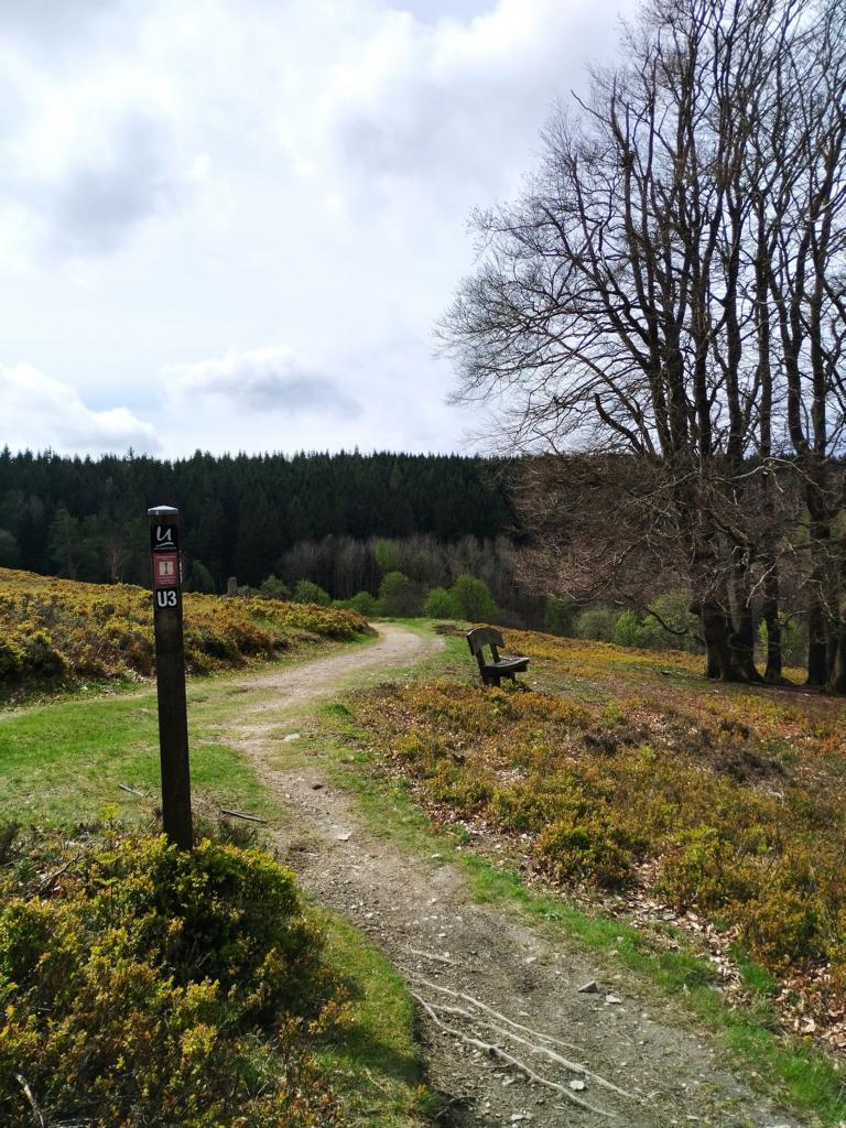 Wanderweg auf der Rothaarsteig-Spur Kahle Pön