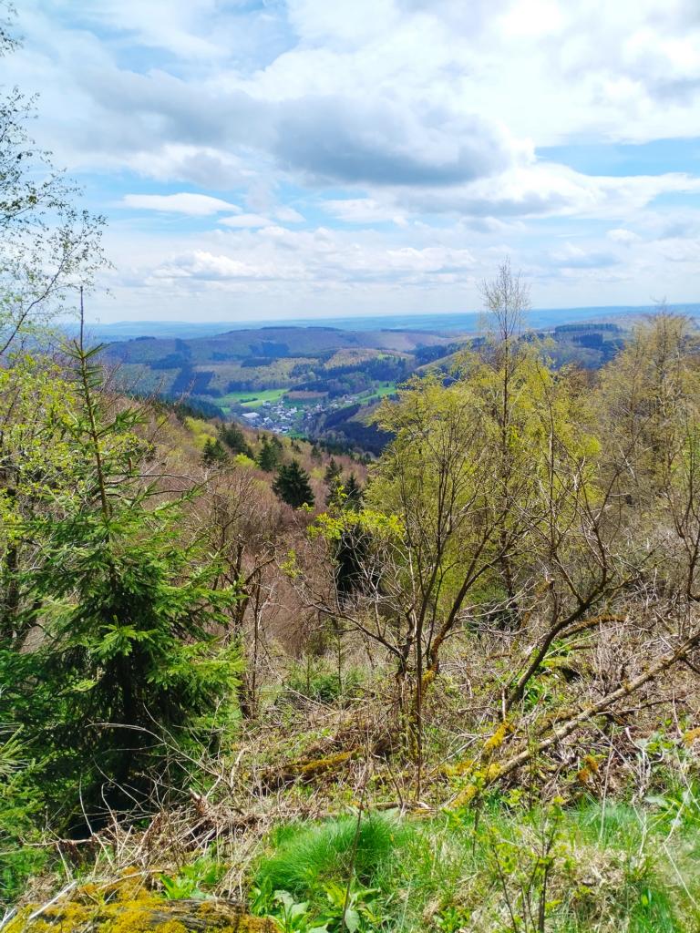 Aussicht von der Rothaarsteigspur Kahle Pön Blick ins Land