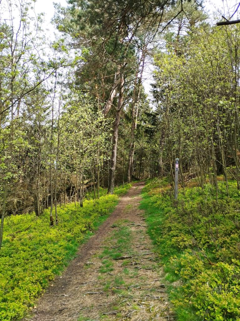 Schmale Pfade auf der Kahlen Pön