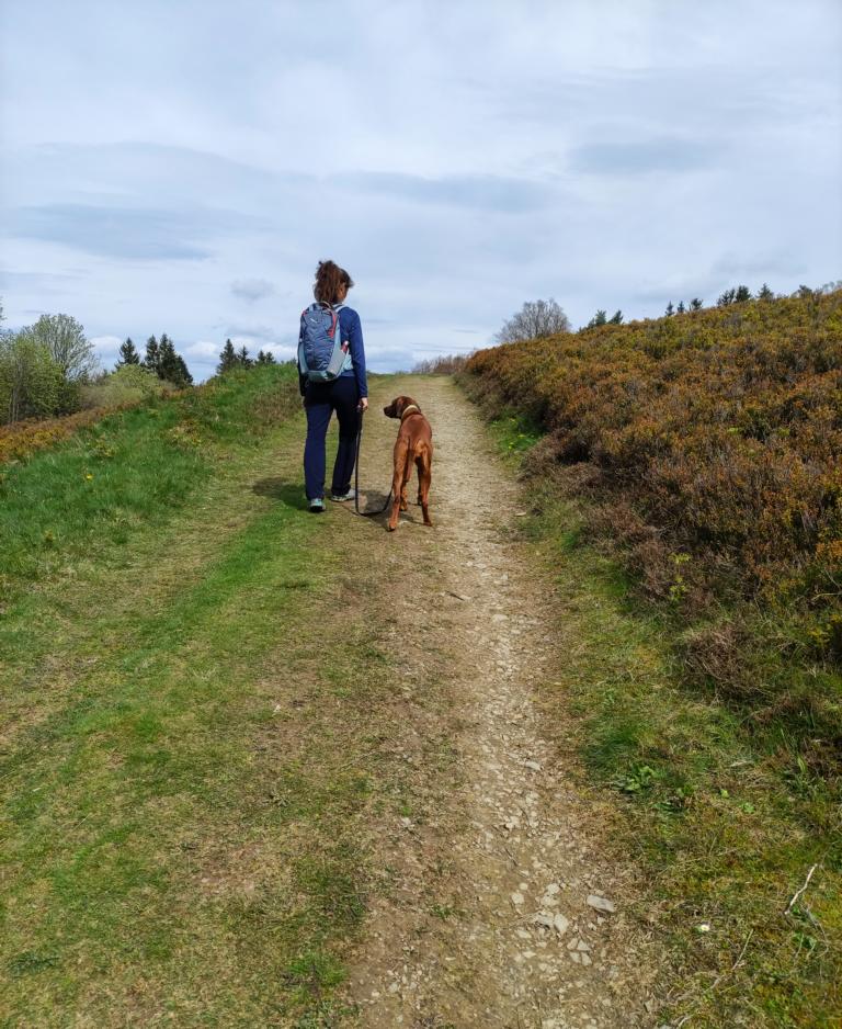 Hochheide an der Kahlen Pön