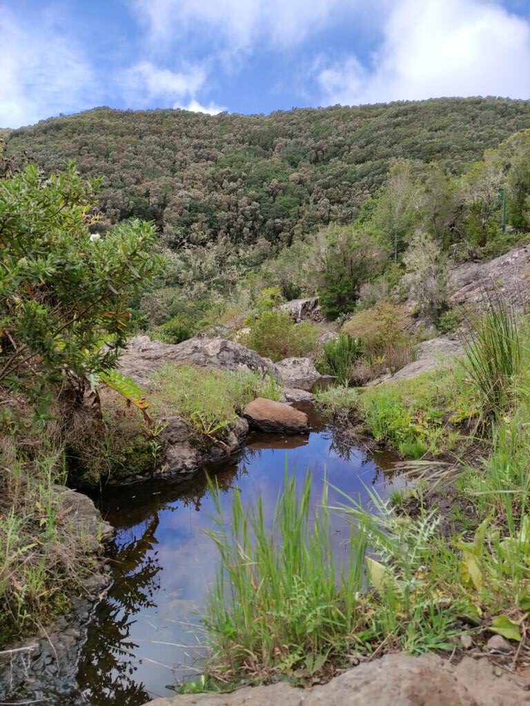 natuerliches-Wasserbecken-in den Nebelwäldern bei-Las-Hayas