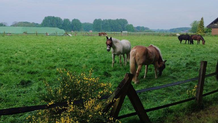 Landidylle auf der Wanderung zwischen Stever und Lippe