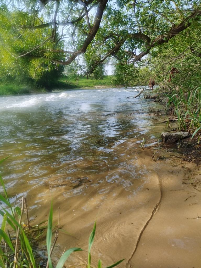 Flusslandschaft auf der Wanderung an der Lippe