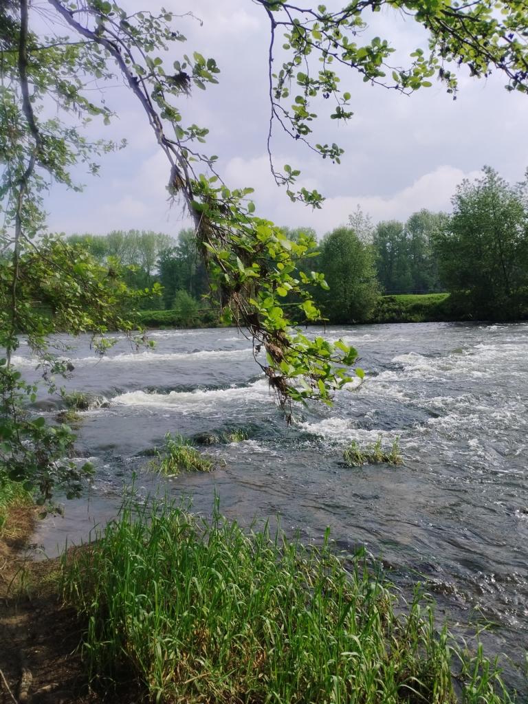 Stromschnellen auf der Lippe bei Ahsen