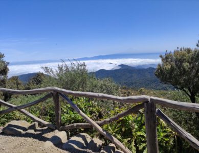 Alto de Garajonay – Wanderung zum besten Panorama auf La Gomera