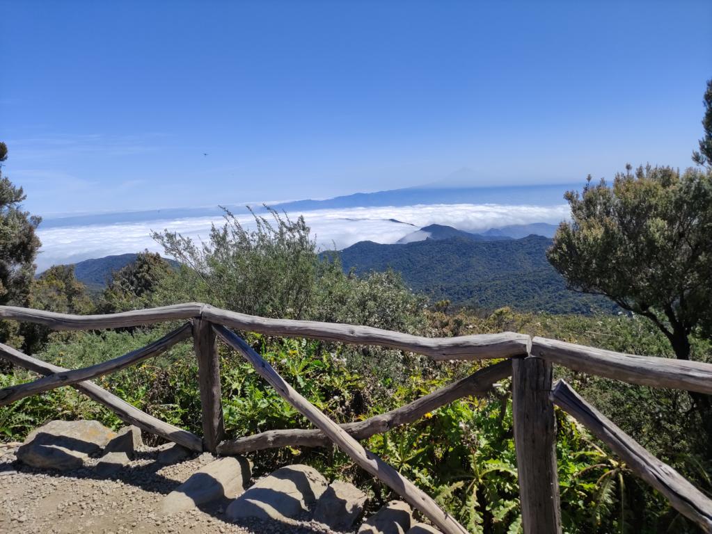 Alto de Garajonay – Wanderung zum besten Panorama auf La Gomera