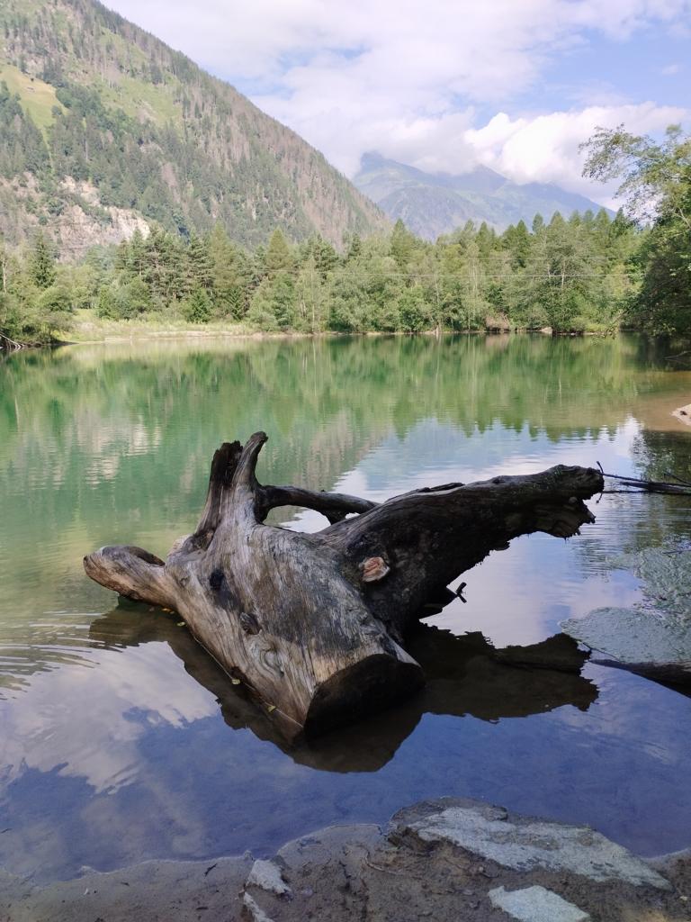 Weiher am Iseltrail