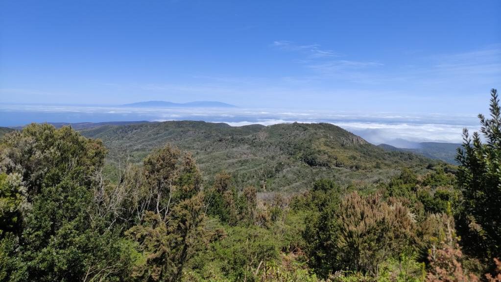 Blick über La Gomera