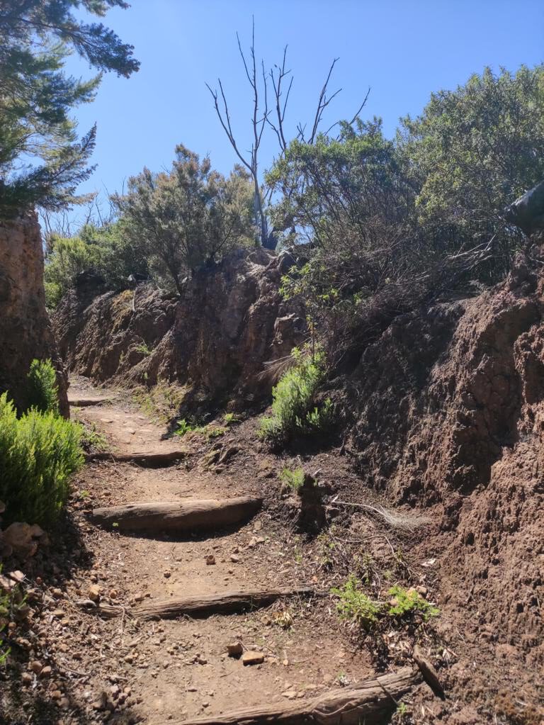 Schöner Wanderweg auf La Gomera