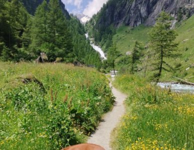 Weitwandern mit Kind und Hund: Tipps für die erste Fernwanderung