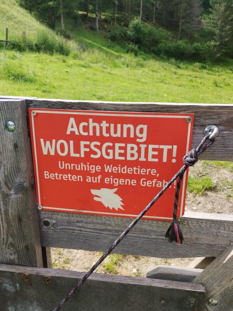 Wolfsgebiet am Iseltrail