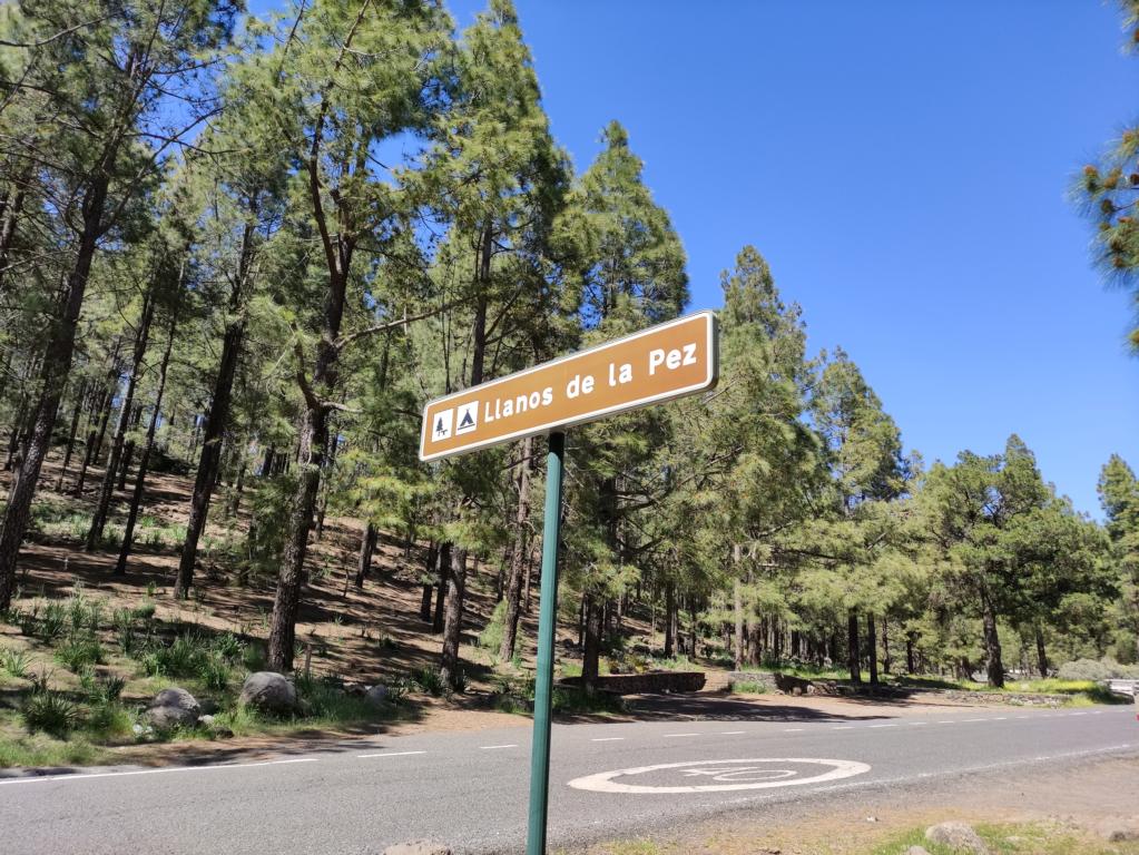 Parkplatz Lllanos de la Pez zur Wanderung Roque Nublo