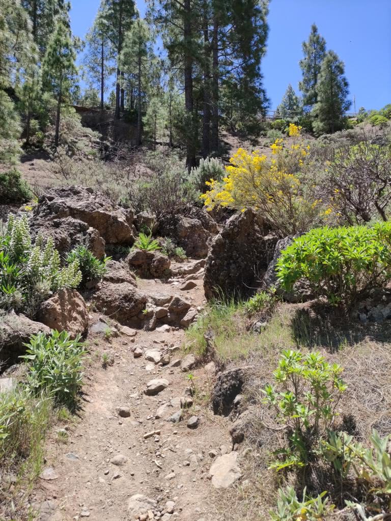 Wanderung Roque Nublo