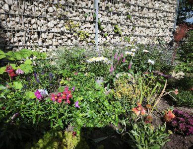 Unterwegs bewundern, zu Hause schützen: Warum mein „Basecamp“ jetzt im Garten liegt